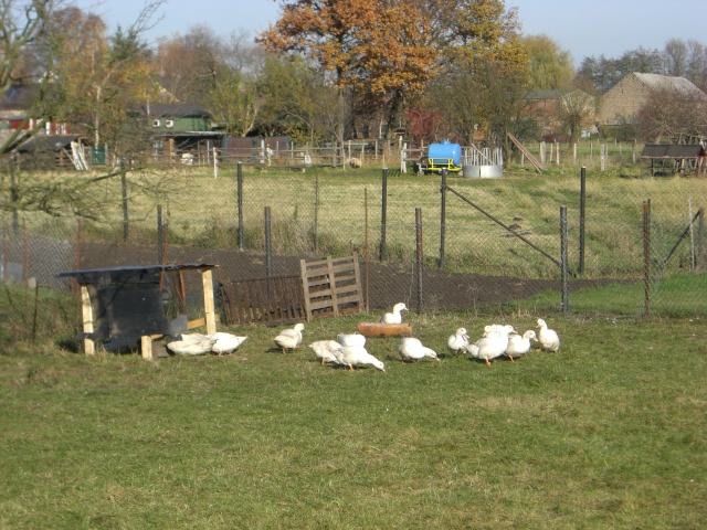 CTF-Boetzsee 096